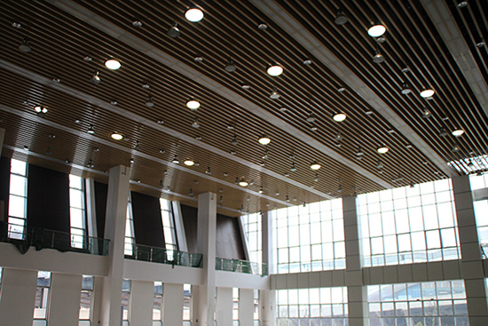 “满天星”的光导照明系统 “满天星”的光导照明