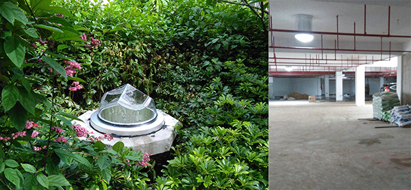 光导管绿化带应用 光导管绿化带应用