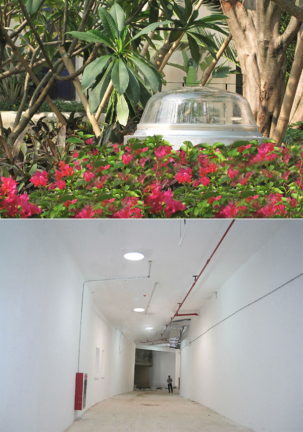 光导照明绿化丛应用 光导照明绿化丛应用