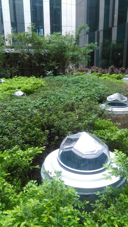 导光管日光照明系统绿化带应用-hkznl.com 导光管日光照明系统绿化带应用-hkznl.com