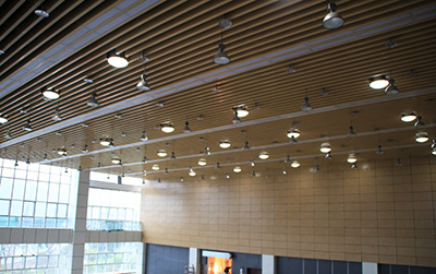 正能量自然光照明设备 hkznl.com 正能量自然光照明设备 hkznl.com