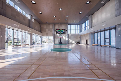 体育馆照明效果 体育馆照明效果